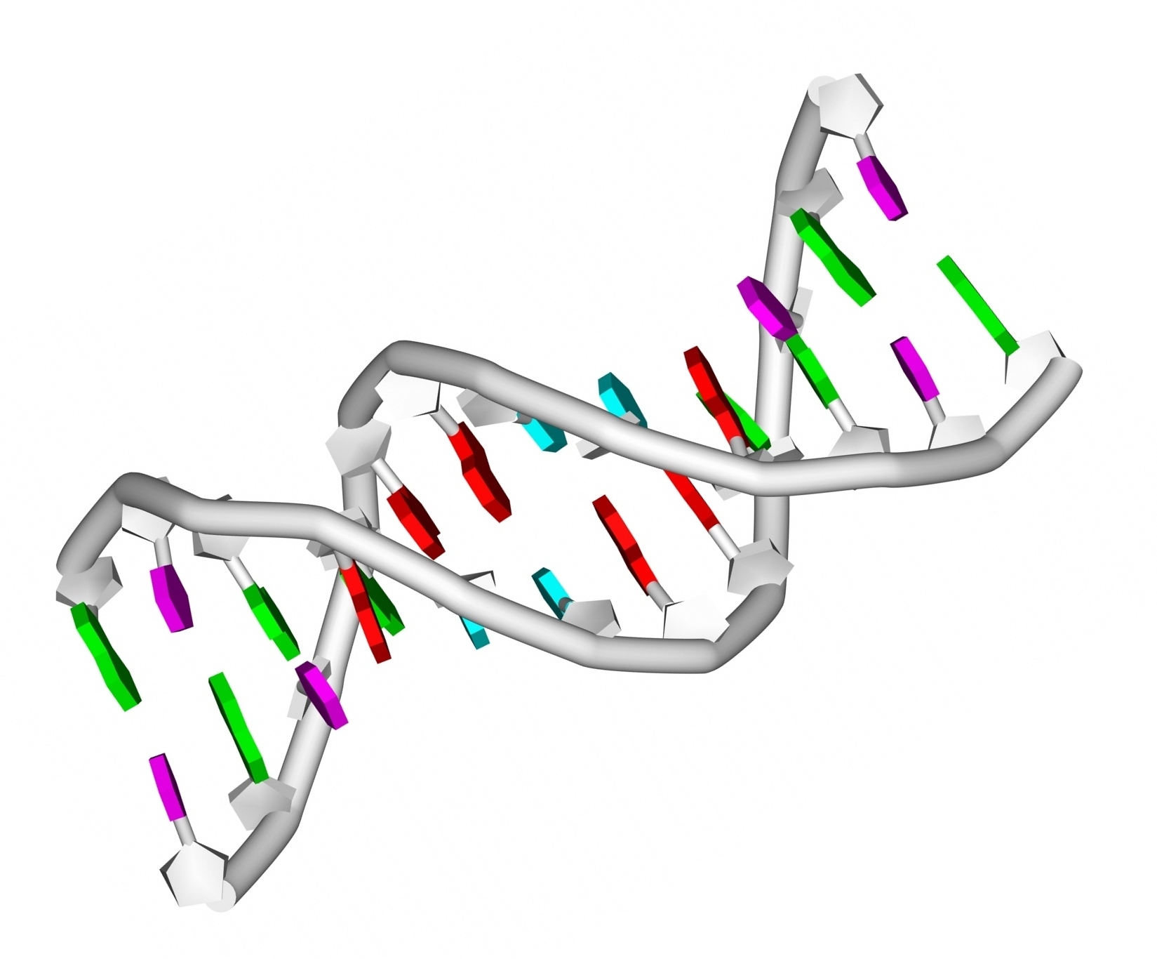 DNA Double Helix